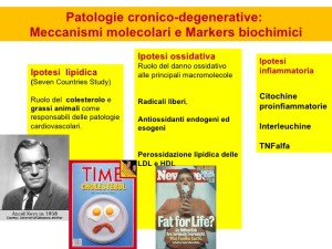 acidi-grassi-e-regolazione-dellespressione-genica-aspetti-fisiolopatologici-2-728