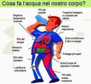 cosa fa l'acqua