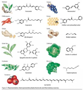 modulatori epigen